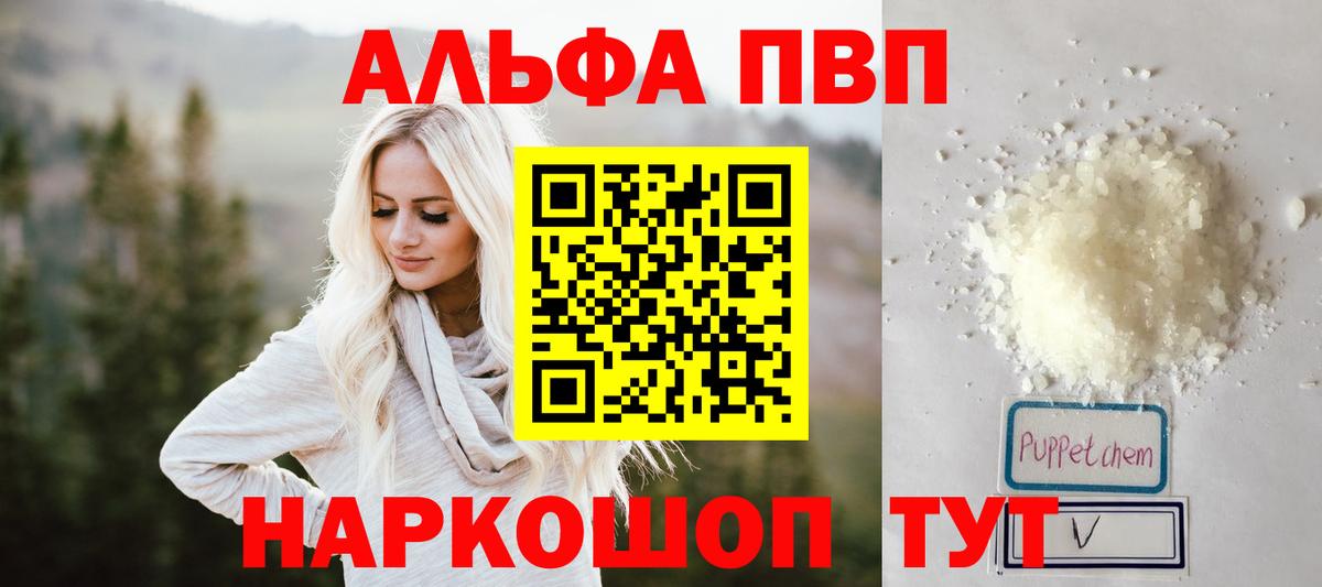 Альфа ПВП СК КРИС Сургут
