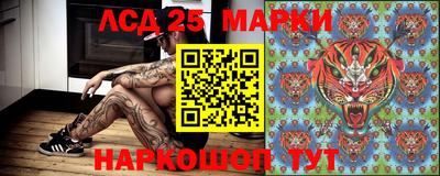 spice Камень-на-Оби